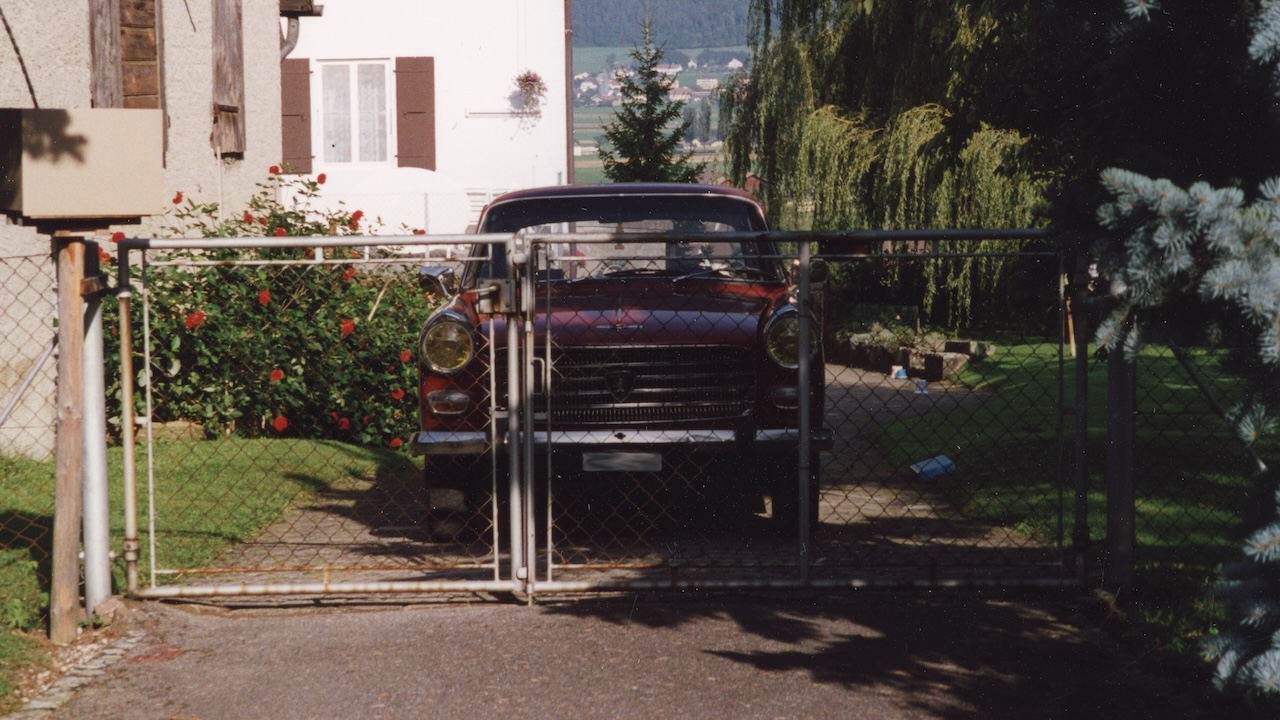 img 6