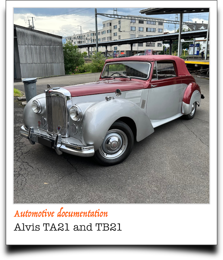 pola1Alvis
