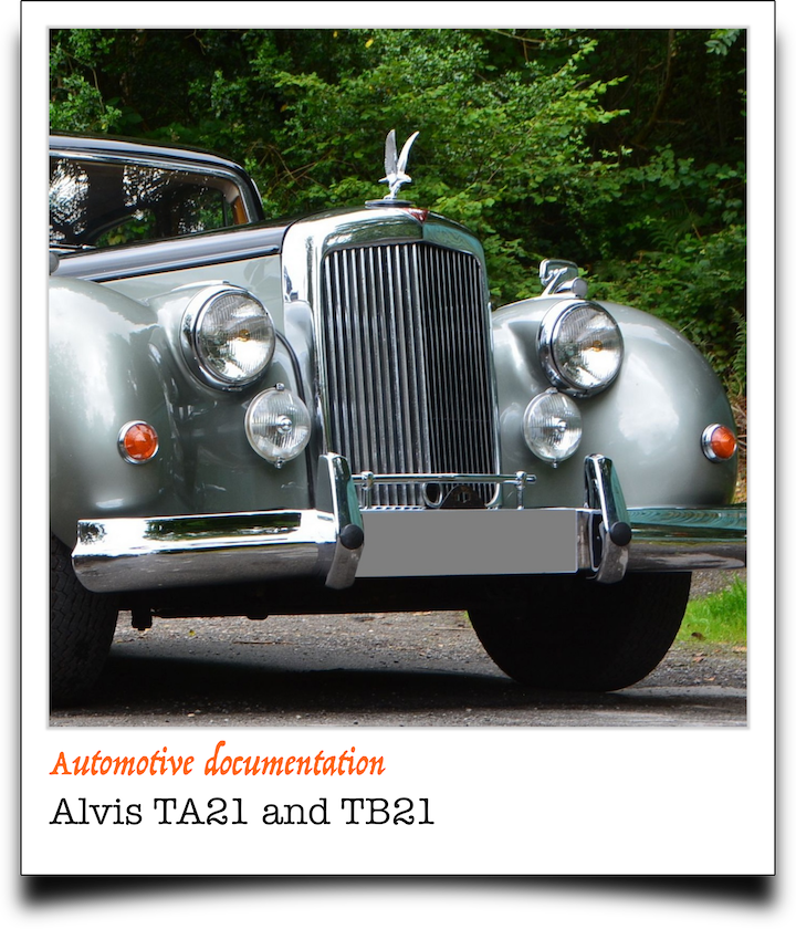 pola2Alvis