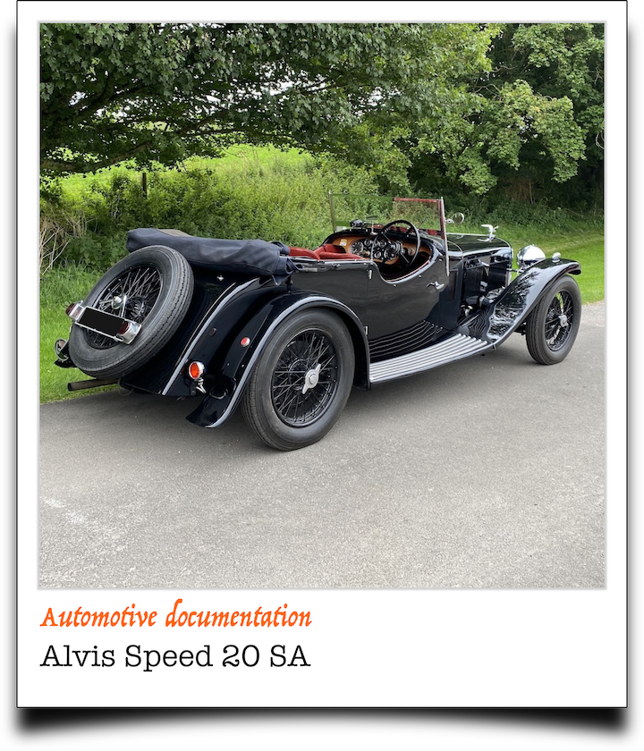 pola1Alvis