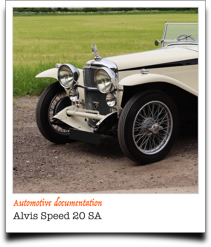 pola2Alvis