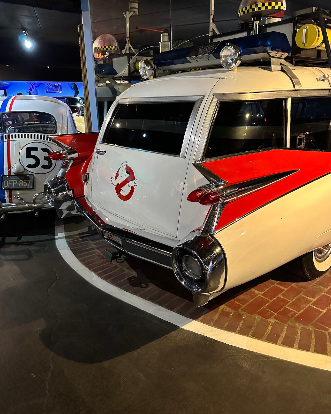 Insta81